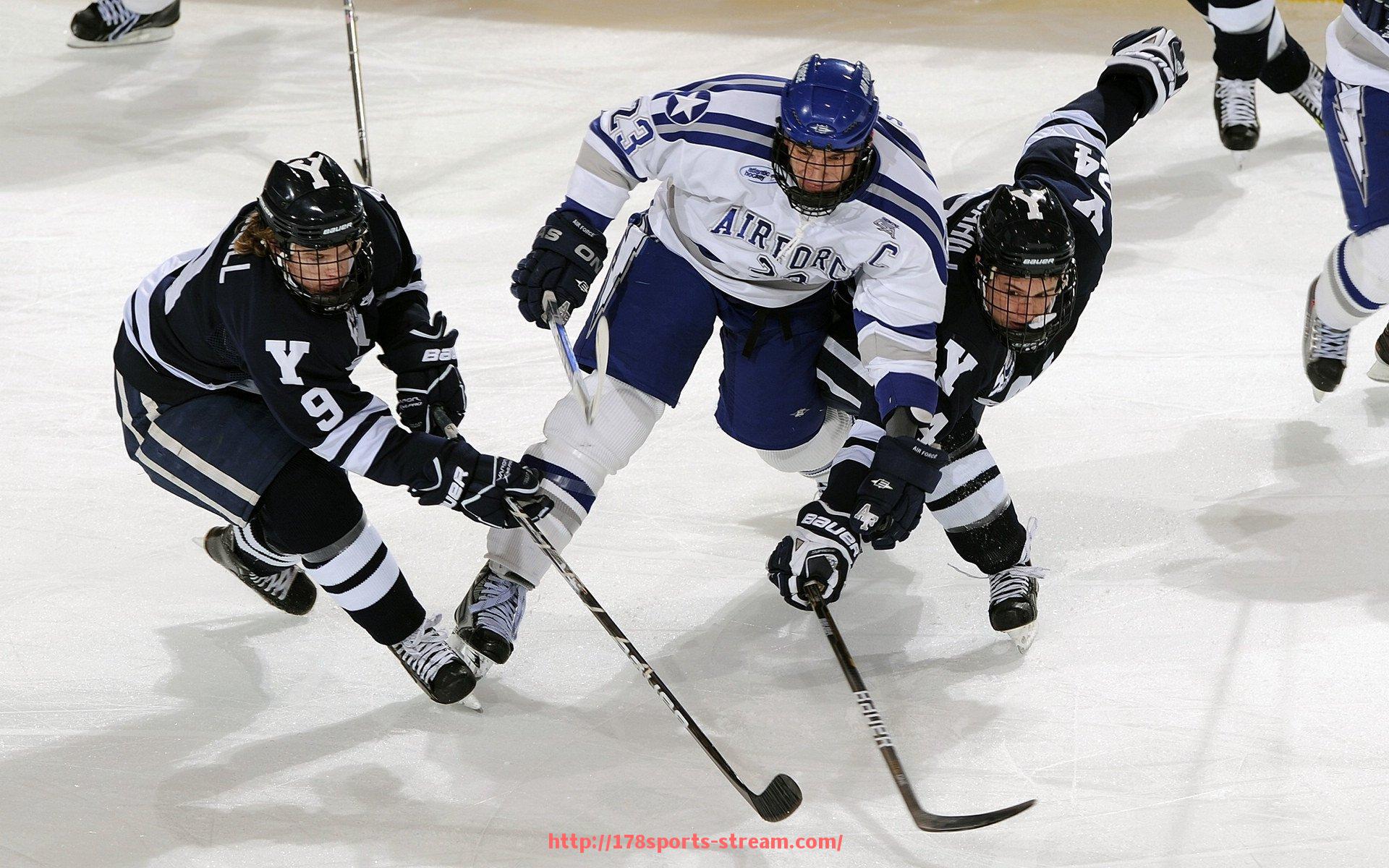 178体育直播-英超宝贝与球员互动及场边文化介绍